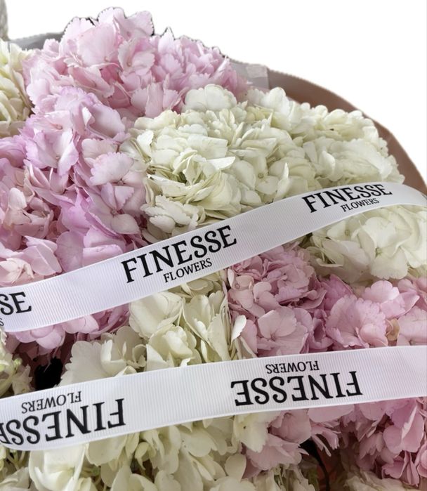 Цветы Гортензии