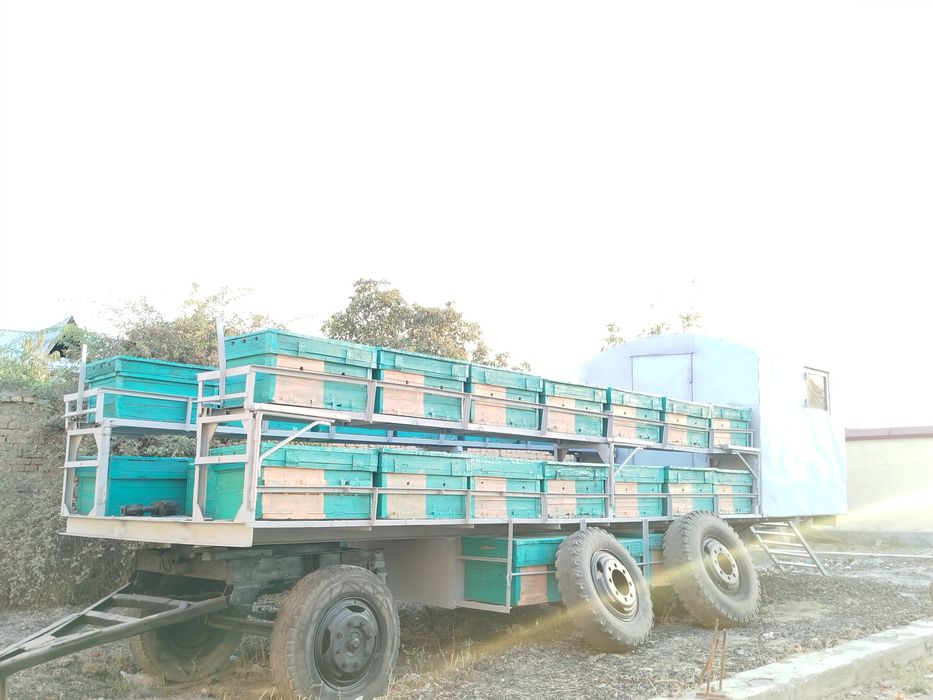 Асалари прицеп (павильон)