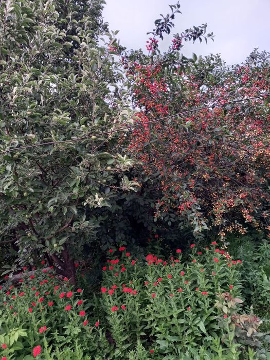 Продается частный дом