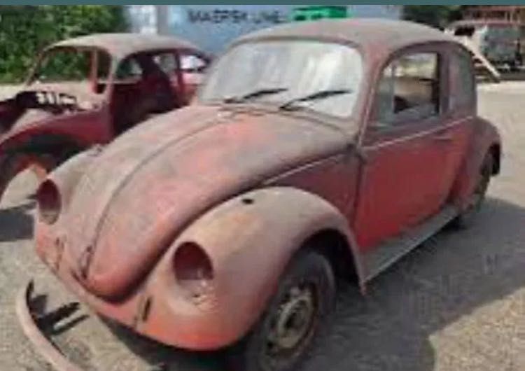 Piese Ve Kafer/ Broscuta
