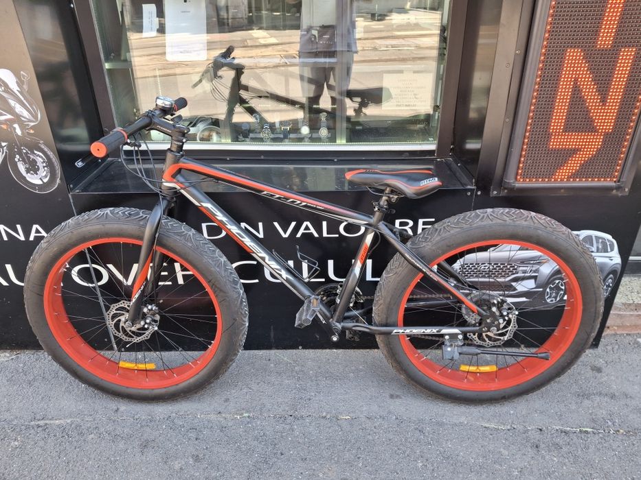 Bicicleta Phoenix