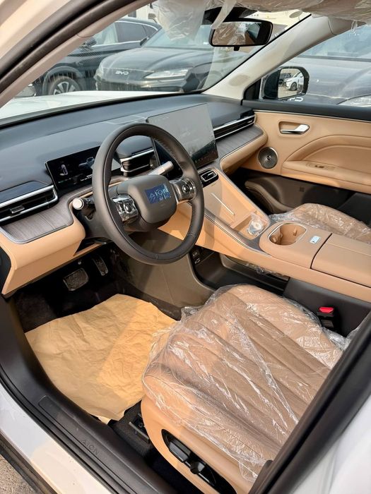 Aion Другая 2026 — 4