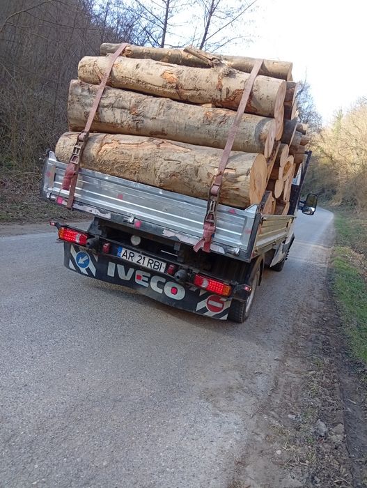 Lemne de foc esență tare