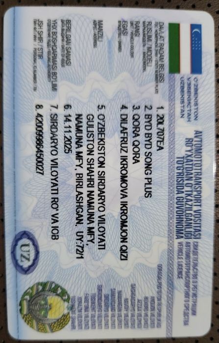 BYD CHAMPION GIBRID 2025, 8 000 km - ideal!