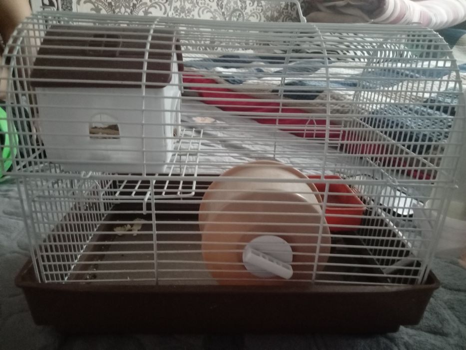 клетка для хомяка