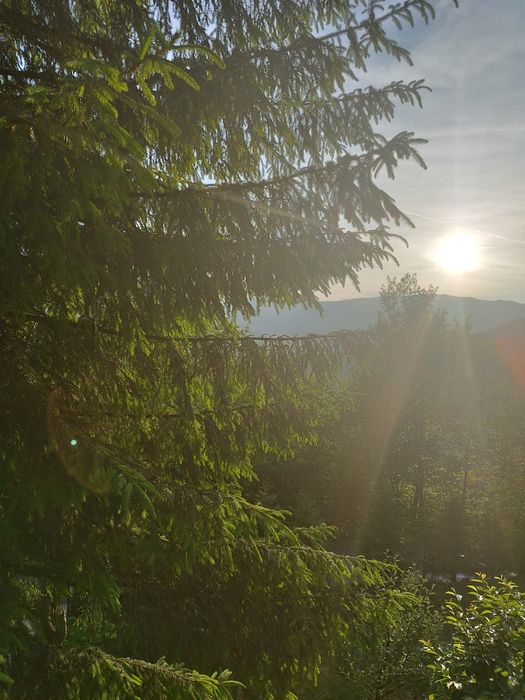 Cabana la munte, relaxare si liniste deplina!