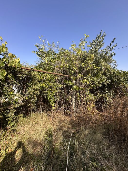 Почистване на изоставени парцели/дворове/запустели терени/Мулчиране