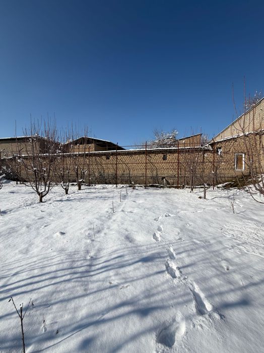 Участок 5,5 соток. Литературный