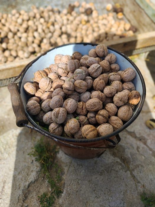 Продается  5 комнатный дом, торг