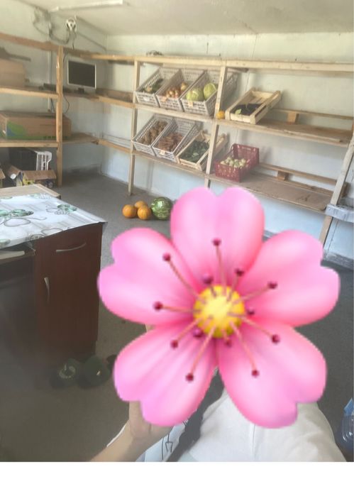 Сдам киоск в аренду