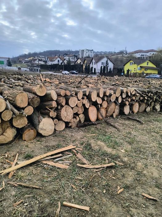 Vand lemne de foc esența tare carpen și fag