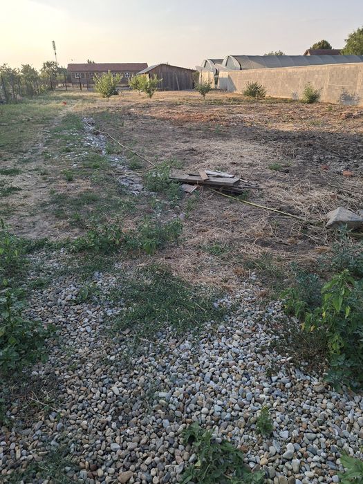 Vând teren -Livada de Bihor