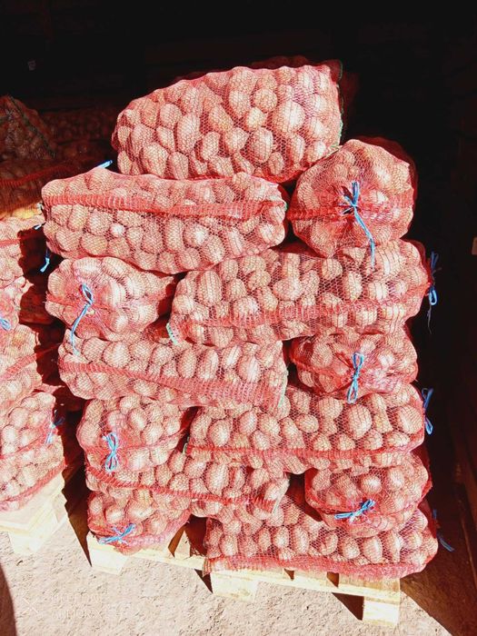 Cartofi alb si rosu consum