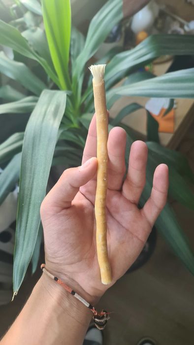 Mishwak periuța de dinți