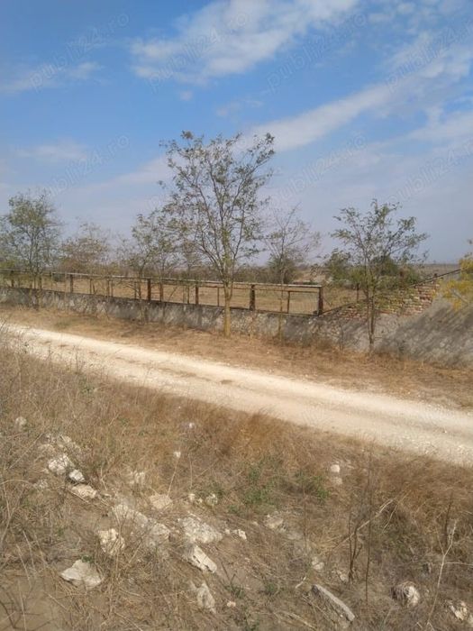 Vând FERMA cu teren 4 hectare Plopeni Constanta