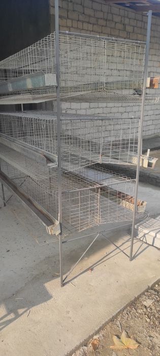 Клети для кур несушек