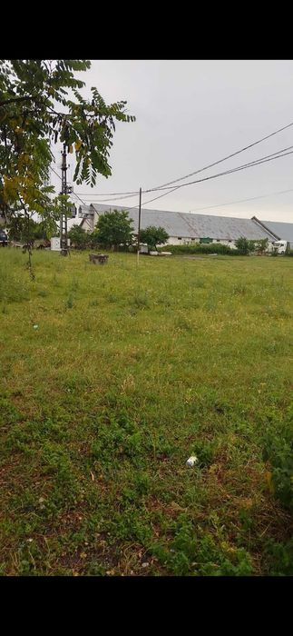 Teren intravilan cu destinație industrială și depozitare conform Certificatului de Urbanism