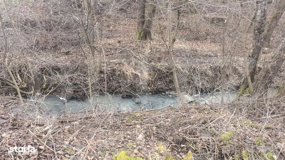 Oaza de liniste in Sovata – Cabana cu piscina, teren generos si par