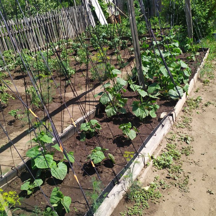 Продам дачный участок