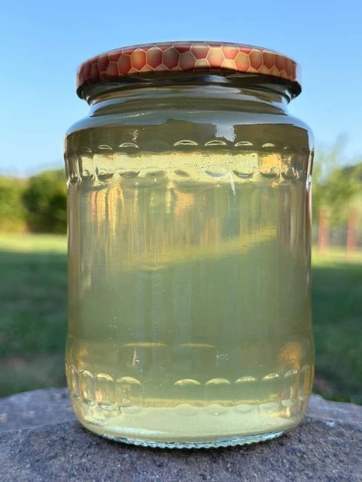 Miere de albine Salcâm & Poliflora