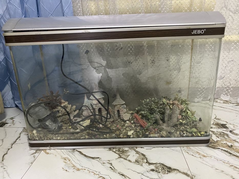 Аквариум для рыб