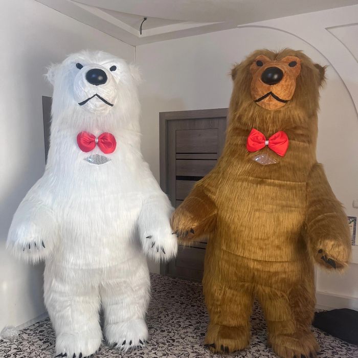 Ayiqlar sotiladi 500$