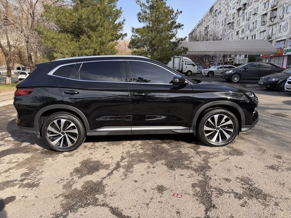 Byd champion 2023. Tozza