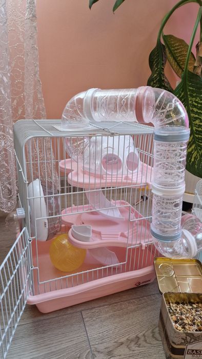 Клетка в отличном состоянии