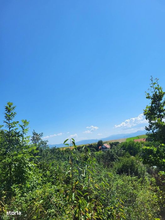 Reducere 6000Eu! Teren Intravilan Cu O Priveliște Superba |1.500 Mp