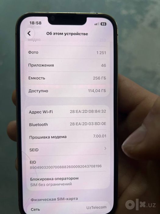 Iphone 13 pro radnoy