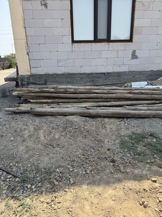 Дерева кругляк длинный