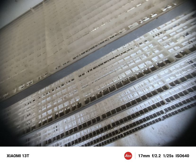 Инкубатор. 2000шт