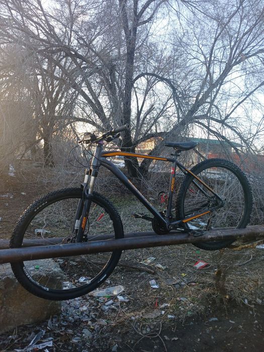 Продам Haber cross 2023