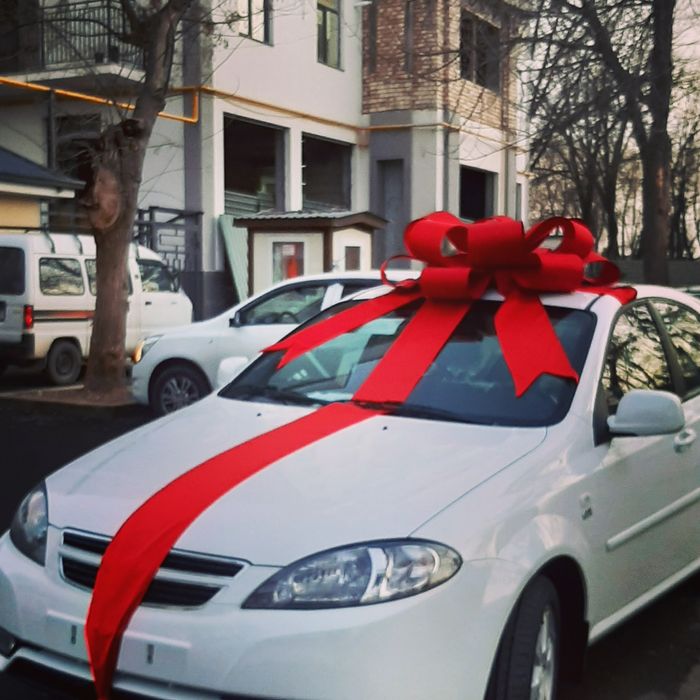 Бант, для машин ,автомобиля ,бантик,Bant ,bantik,