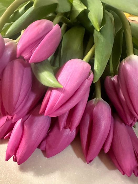 Тюльпаны 700 тенге