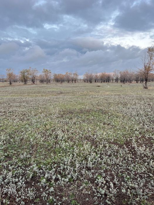 Земельный участок