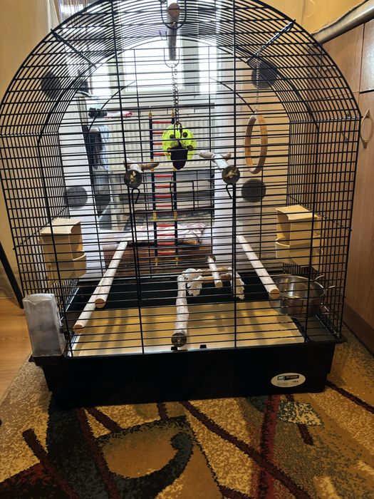 Colivie pasari greta