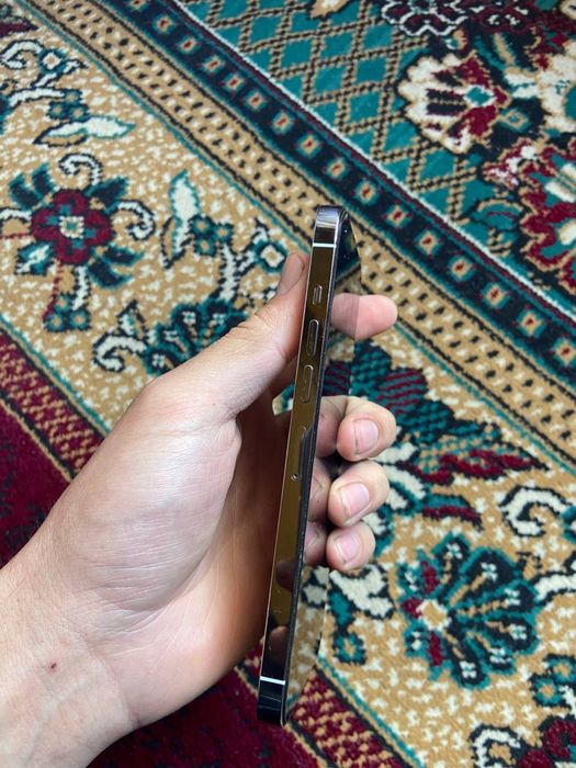 Iphone 13pro max