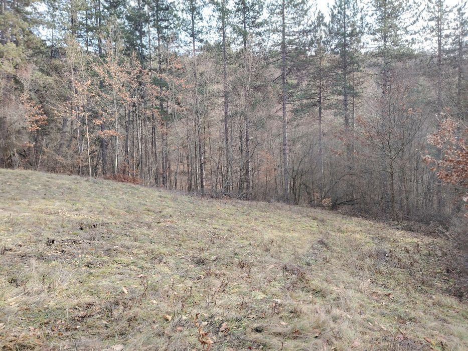 Продава се Парцел в с. Добърчин, Област София-област - 3972 кв.м за 6 €/кв.м - Снимка #5