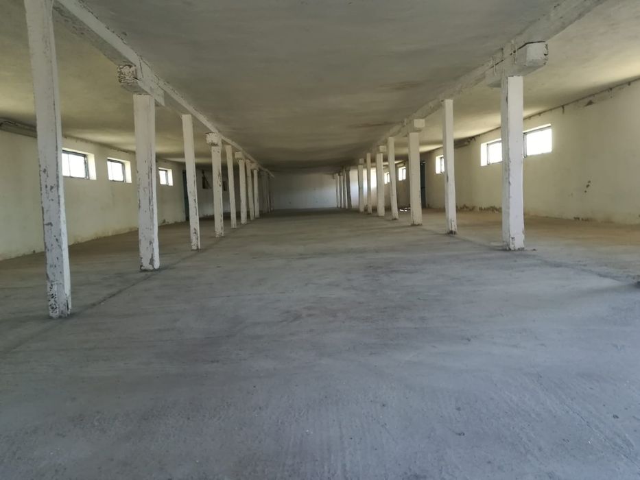 Fermă / hale agricole 4500 mp – teren 20.000 mp – utilități –  asfalt