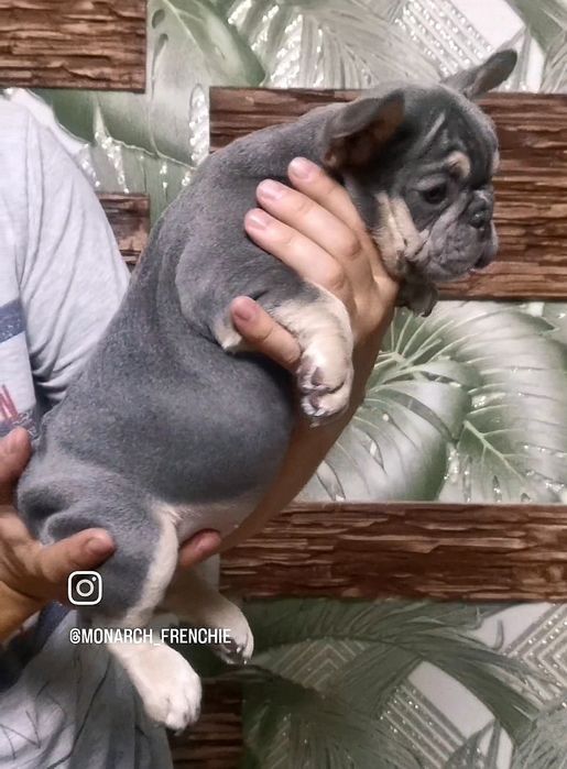 Очаровательная девочка