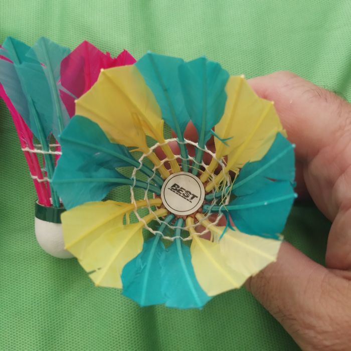 Fluturasi badminton Best