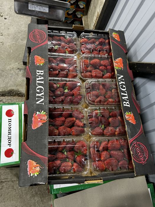 Клубника 25.000 тг