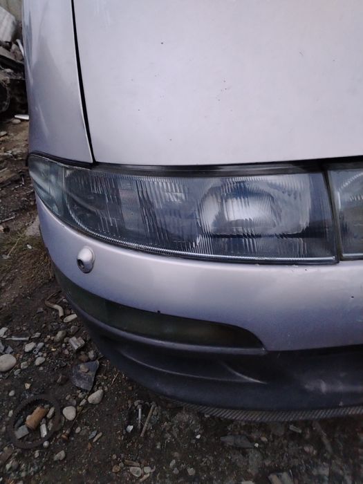 Таета эстима люсида на разбор