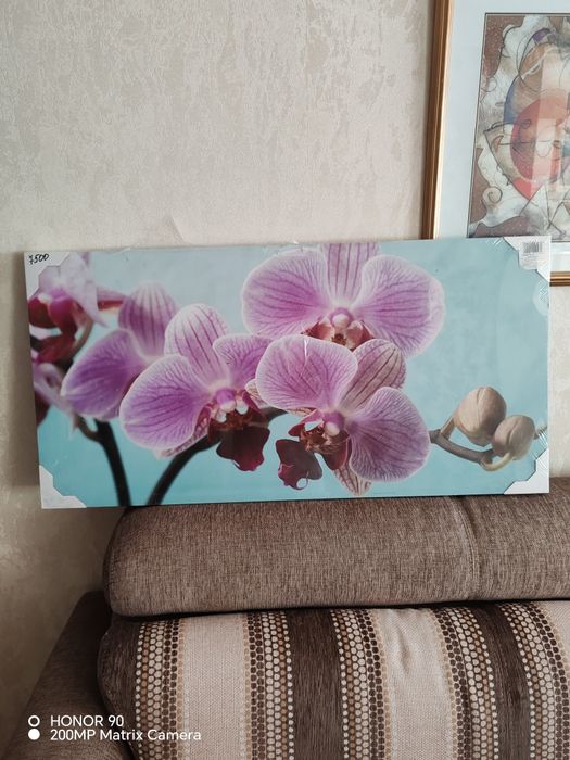 Картина Орхидея новая