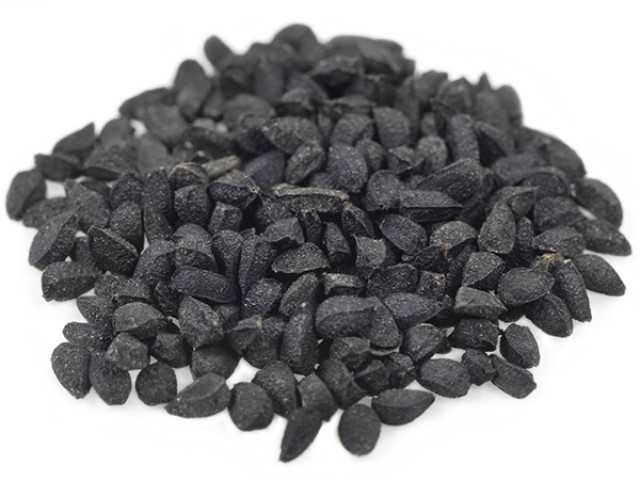 Қора Седана,  Qora sedana