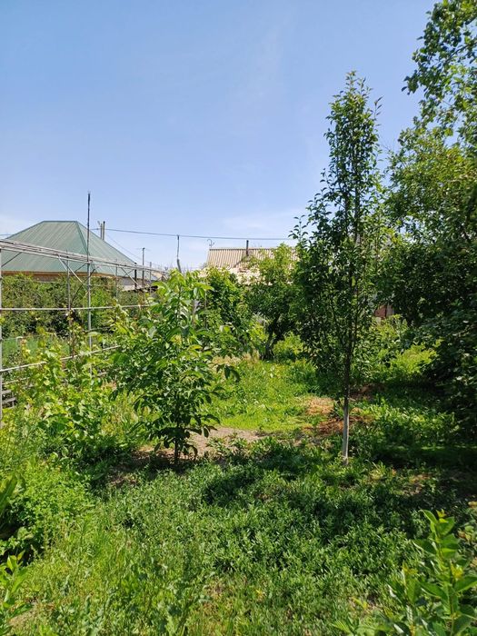 Продам дачу, торг уместен