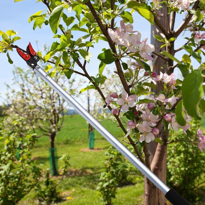 Ножица за клони и бране на плодове 100 см-прецизно рязане без стълба