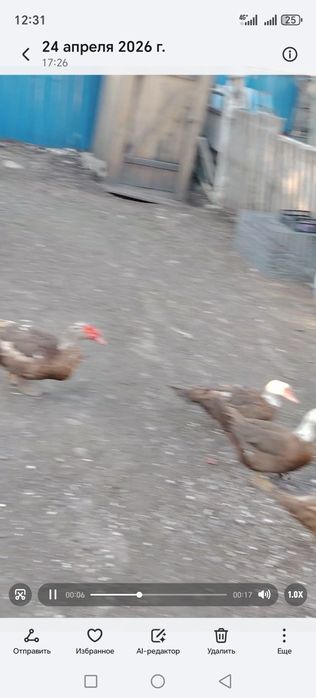 Продается. . Продам.