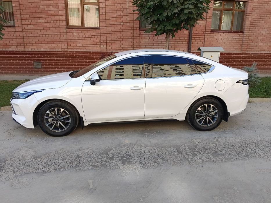 Bud chazor 1 pozitsiya sotiladi 38 ming yurgan